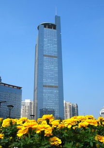 雨天登南宁地王大厦,感受别样情怀 