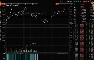 09年上证指数会达到什么点数？