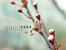 wuzhaoyu的主页 