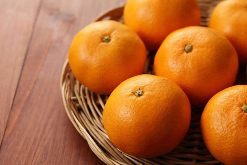 中国橙子图鉴,到底哪里的橙子最好吃
