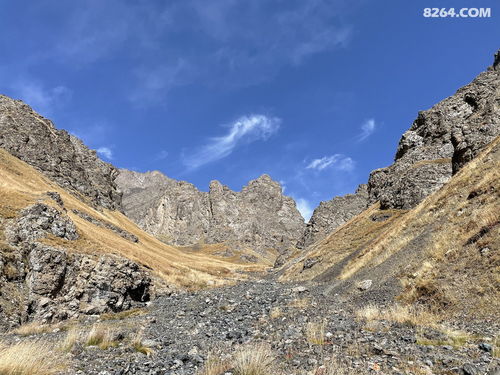 千年狼塔 梦回天山1