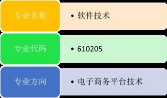 2018年软件技术专业 电子商务平台技术方向 介绍