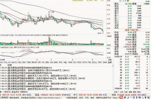 股份分割是什么意思？  具体是怎么实行的？？