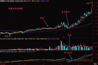 青龙取水选股公式输入完后怎么选股