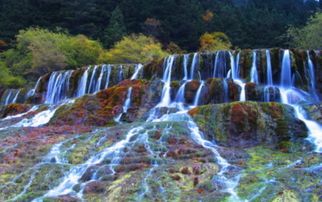 如诗九寨沟,如画的黄龙,美丽的大草原 