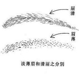 八卦命理 纹眉对运势有影响吗 图