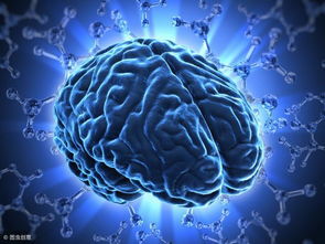 人类大脑30岁才成年,90岁还能形成新神经元