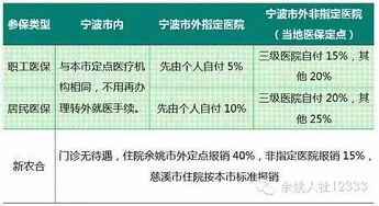 医疗保险参保明细怎么查(社会医疗保险查询)