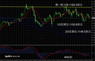 黄金白银股票哪个风险大