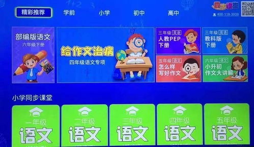 最新 端州区公办幼儿园入学抽签结果出炉啦 你家孩子都中签了吗