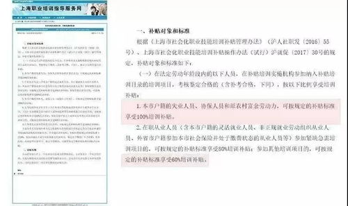 我做一份政府补贴项目 技术经济指标不知道怎么写