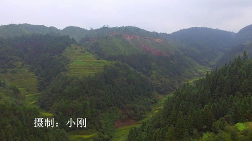 什么叫风水金星龙头 龙面 龙身,一列山岭，两头是金星形峰，中间是平直连接的是风水中的什么峦头