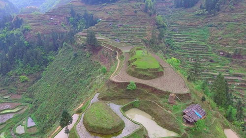 这叫田中山,做墓葬的极佳风水宝地,这样的山头非常难得一见 