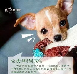 乐亭文明养犬咨询举报电话已公开发布