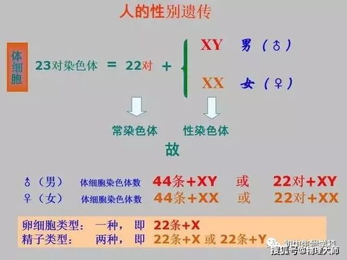 初中生物 136张图概括生物知识点,建议收藏