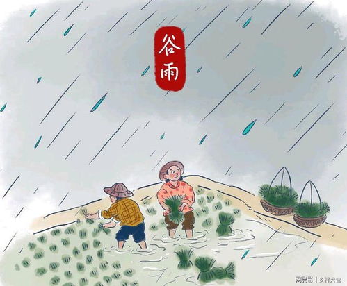 今年谷雨不一般,老人说 谷雨在月头,寡妇也不愁 ,啥意思