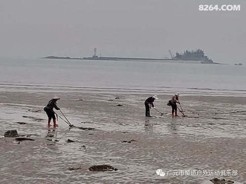 蹚过词语解释,涉水而来意思？