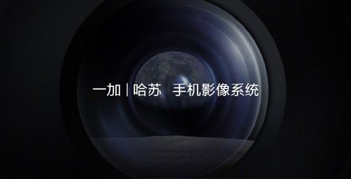 用了一加9 Pro一个月 我对自己的拍照技术 盲目自信 了