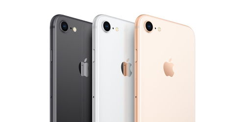 手机壳厂商押注低价iPhone将命名为 iPhone SE 2 ,你怎么看