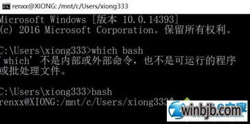 win10上运行Linux安装宝塔