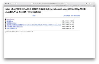 vps 文件下载