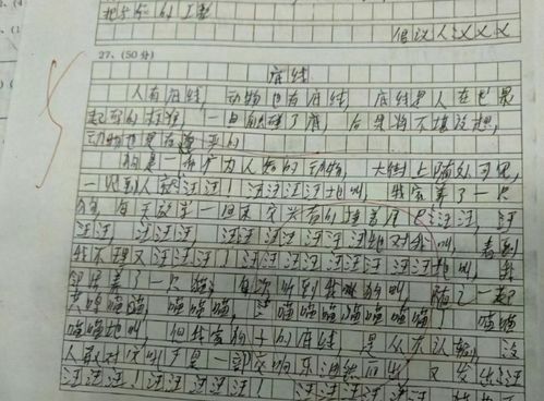 学生凑字作文 抓鸭子 ,凑字数过于明显,老师看后哭笑不得