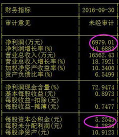 一次都没有送转过、每股公积金与未分配利润高达好几元的股票