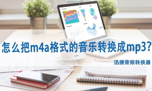 大学教师如何高效使用查重工具