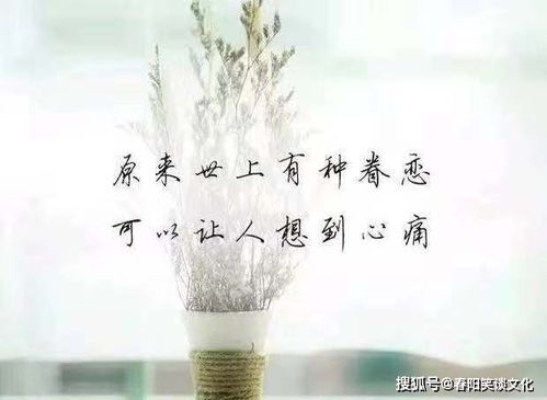 令人心痛到心碎的说说,绝望无助,疼到骨子里