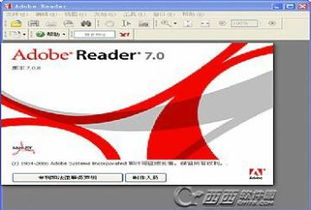 adobe reader 9精简版