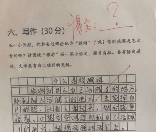 关于青年追求理想的作文素材