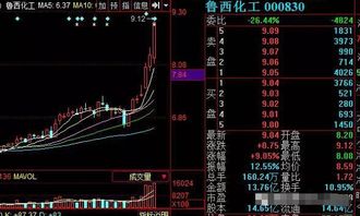 08年炒哪个板块的股票好？