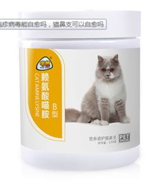 猫疱疹病毒能自愈吗,猫鼻支可以自愈吗