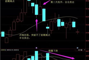 为什么我的股票老是亏钱呢