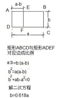 股份比例公式