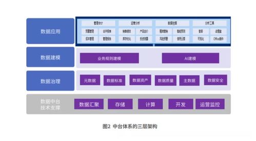 干货 基于数据中台的管理会计信息化框架及创新应用 下