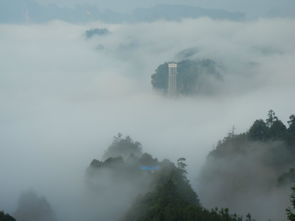 曾经沧海难为水 除却巫山不是云 与张家界同在的六日