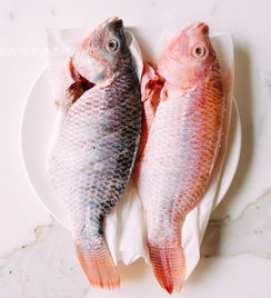 告红烧鱼最好吃的做法,美味又营养,很多人没试过 