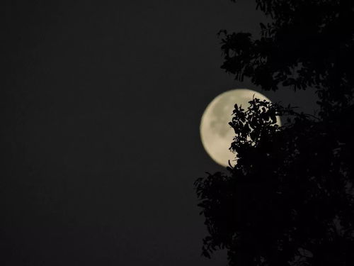关于月亮与中秋诗句