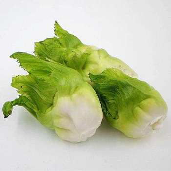 我想知道一种蔬菜叫什么名字 圆形的梗然后像小白菜那样的菜叶.但是菜梗不一样.是圆形的.绿色的蔬菜.. 