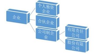 请教企业类别如何区分？