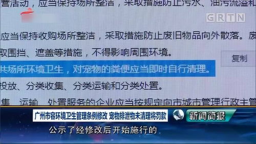 广州市容环境卫生管理条例修改 宠物排泄物未清理将罚款 