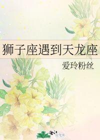 狮子座遇到天龙座 爱玲粉丝 晋江文学城 