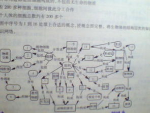 有关动词的时和体知识网络图