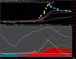 新手怎么选中长期股票？