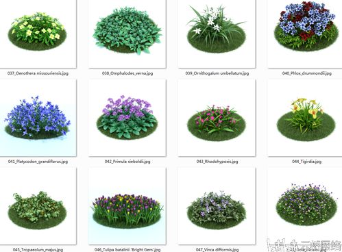 园林景观设计花草植物模型合集含材质贴图