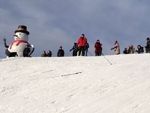 中国滑雪项目有哪些类型