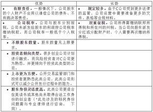 成为股东对公司负什么 责任 ？他成为公司的 经营者？ 所有者？债主？