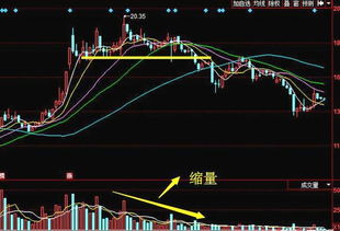 如何看002103后市如何！说明自己的看法和观点