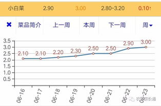 2017年6月23日销售市场行情 